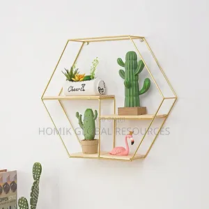 1pc Nordic Gold ‘Hexagon’ Metal Luxury Wall Decor Storage Rack