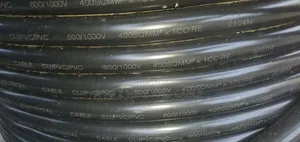 Premium 400mm 1-Core PVC/PVC Cable Available!