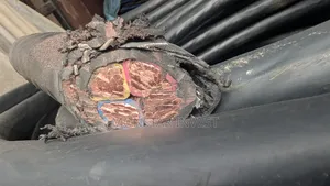 Nigerian Armored Cable 120mm