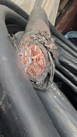 Armored Cable 50mm