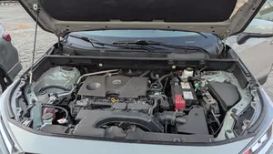Toyota RAV4 2020 Green
