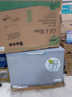 Bona 300l Solar Chest Freezer for Commercial Use