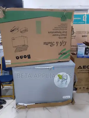 Bona 300l Eco-Friendly Solar Freezer