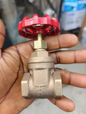 Original Bronze Gate Valve