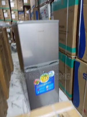 Polystar Pv-Dd250dl Sleek Silver Refrigerator