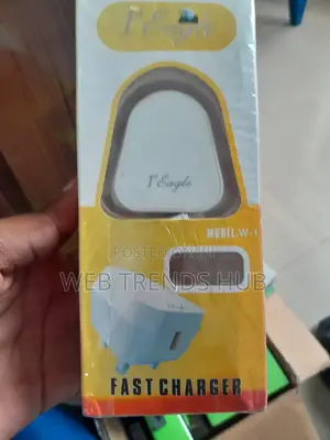 1st Eagle Fast Charger (W-1) With Micro-Usb Cable