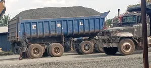 Pure Granite Chippings