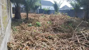 658 SQM Plot of Land Fenced, Gated, Governor's Consent