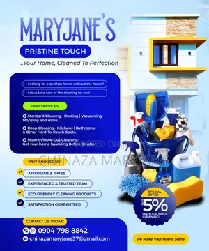 Cleaning Agency