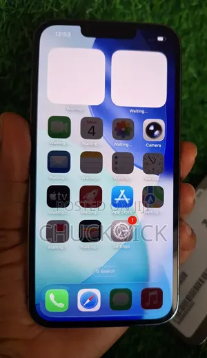 Apple iPhone 13 Pro 256 GB Gray
