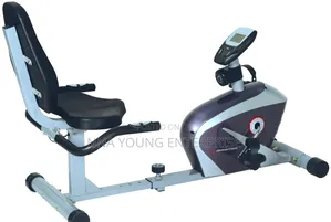 Recumbent Exercise Bike.