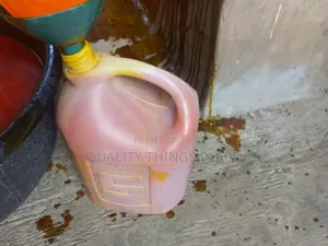 25 Litre Undiluted Palm Oil