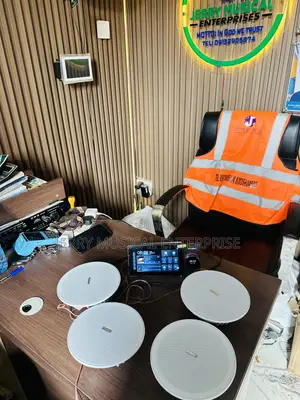 30w Frameless Ceiling Speakers /in Wall Amplifier for Home Automation