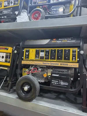 8.5kva Firman Petrol Generator Model Fpg8800e2 100%Copper Coil