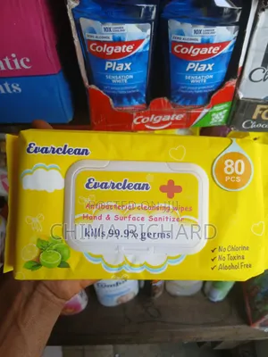 Ever Clean Antibacteria Wipes
