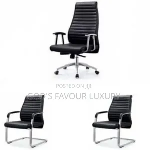 1 Executive Office Chair 2 Visitor's Chair - Black
