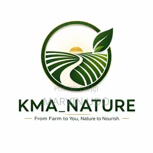 Affordable Logo Design in Lagos