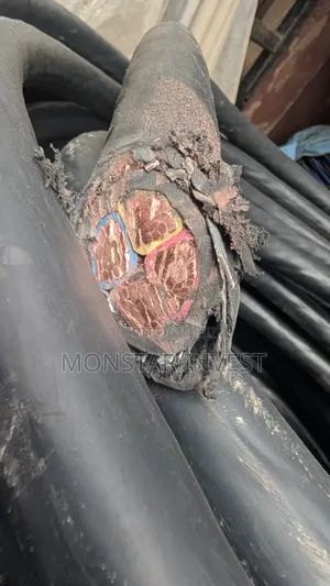 35mm Armored Cable Niger Chin