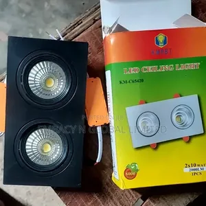 Double Led Spotlight