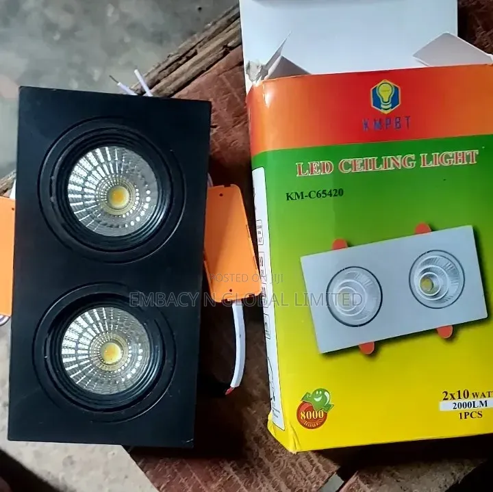 Double Led Spotlight