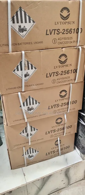 Lvtopsun 2.5kwh Lithium Battery