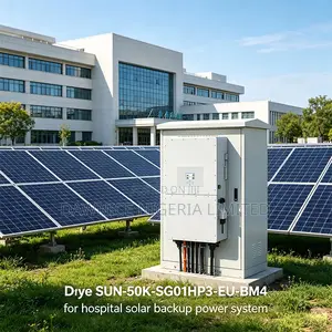 Deye Sun--Sg01hp3-Eu-Bm4 for Commercial Solar Farms