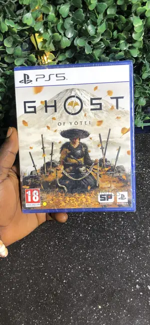 Video Game