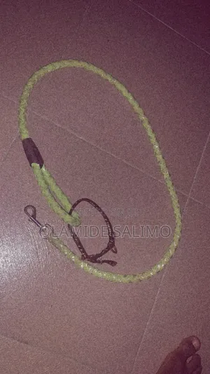 Dog Lease and Collar