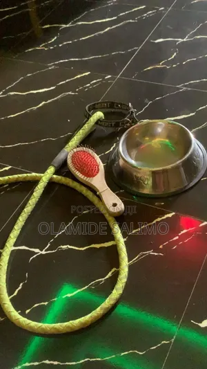 Combo for Dog