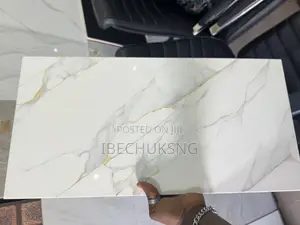 30x60 Toilet/Bathroom Wall Tiles Goodwill