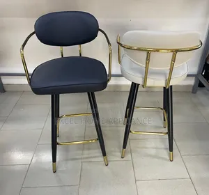 Modern Adjustable Bar Stool