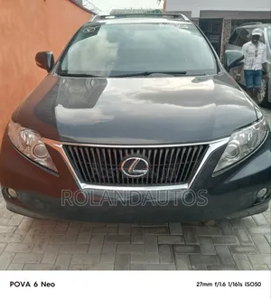 Lexus RX 350 2010 Gray