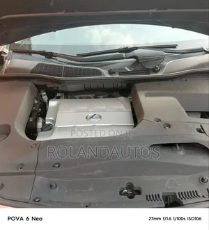 Lexus RX 350 2010 Gray