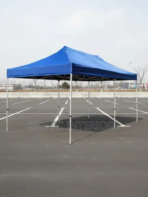 10 by 10 Canopy