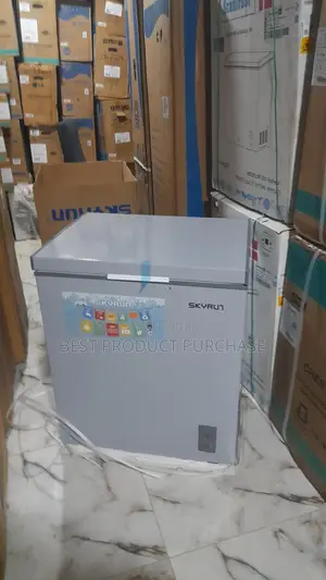 Skyrun Bd-145a: The Perfect Freezer for Frozen Food Business