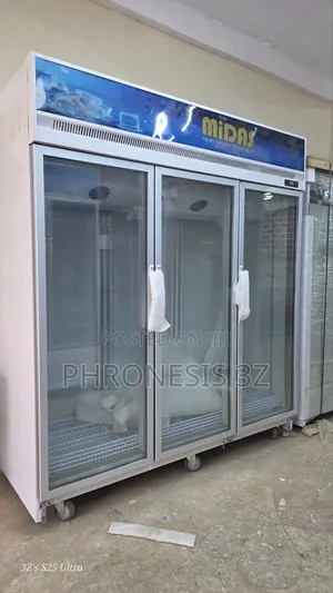 Jumbo Size 3 Doors Upright Showcase Freezer
