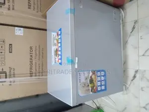 Nexus Nx-400g Freezer – Ideal for Commercial Storage