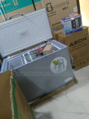 Bona Bd318l Solar Freezer for Homes and Stores