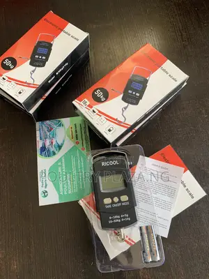 Electronic Portable Scale