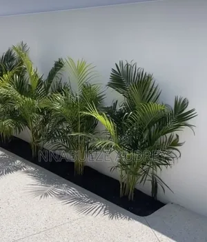 Professional Landscaping Gardening Services