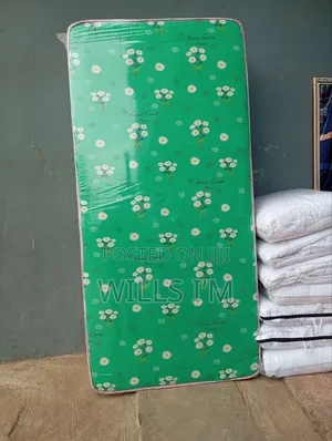3ft by 6ft by 6 Inches Student Size Green Earth Mattress
