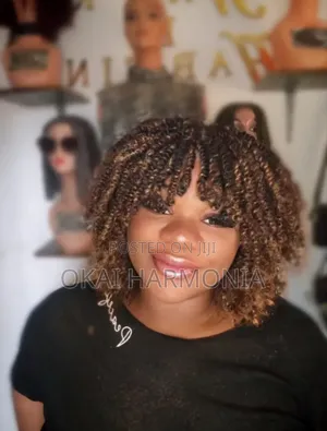 Neatly Braided Wig