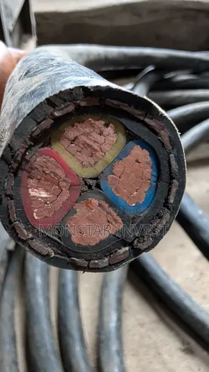 240 Armored Cable Niger Chin