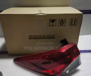 Fortune Rear Light 2017