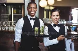 Fine Dining Waiter / Waitress Available