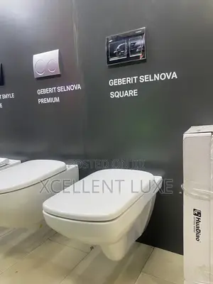 Geberit Conceal Water Closet