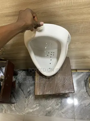 Wall Hang Urinal Bowl