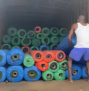New Stock Just Arrived — Limited Carpet Grass Available