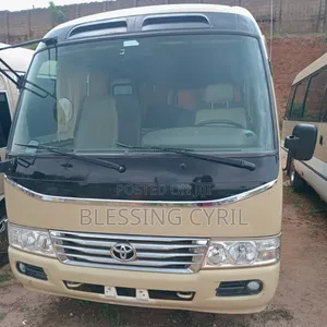 Toyota Coaster 2010 Brown