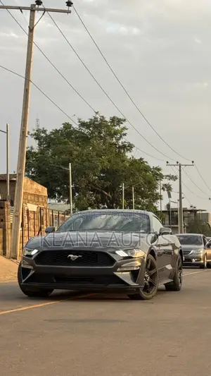 Ford Mustang 2019 Gray